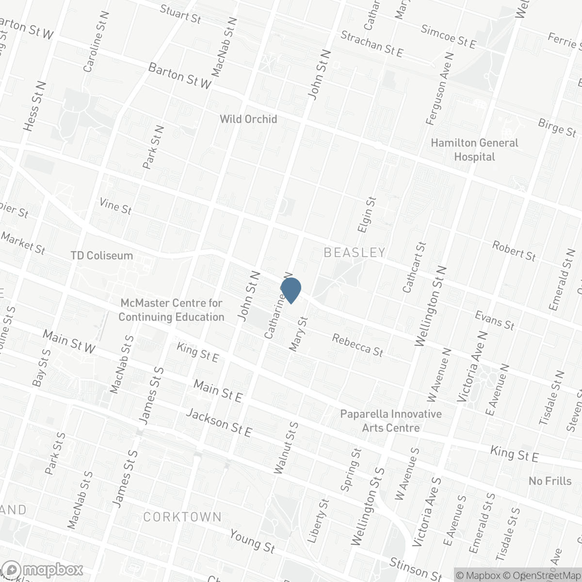 103 MARY Street, Hamilton, Ontario L8R 1K4